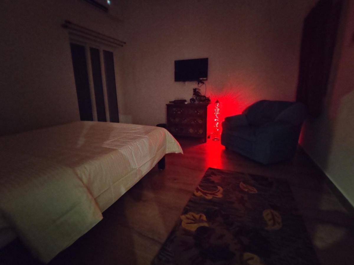 The Balified Villa ポンディシェリ エクステリア 写真